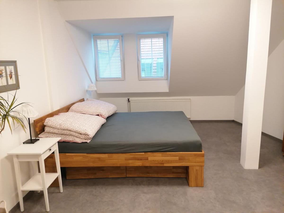 Apartament Apartman U Zoubku Litomyšl Zewnętrze zdjęcie