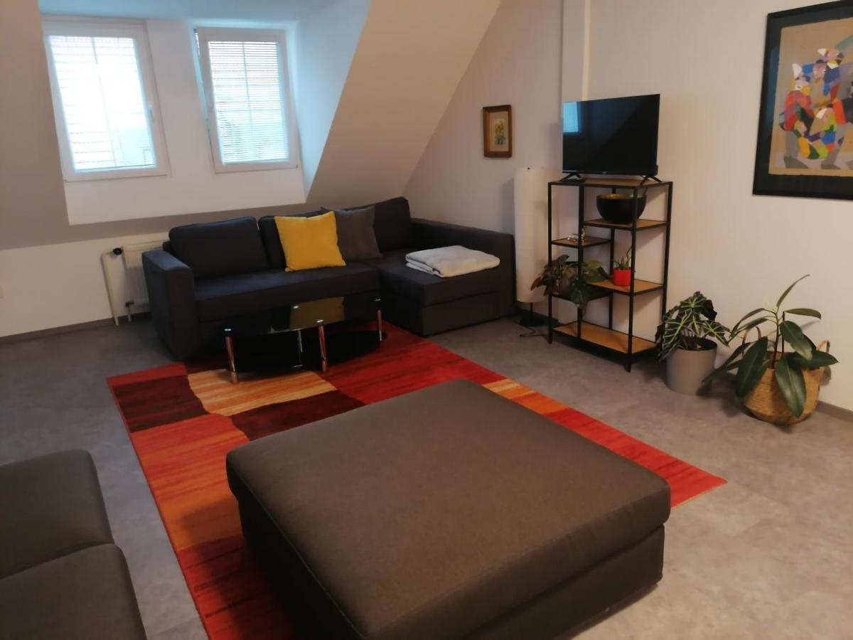 Apartament Apartman U Zoubku Litomyšl Zewnętrze zdjęcie